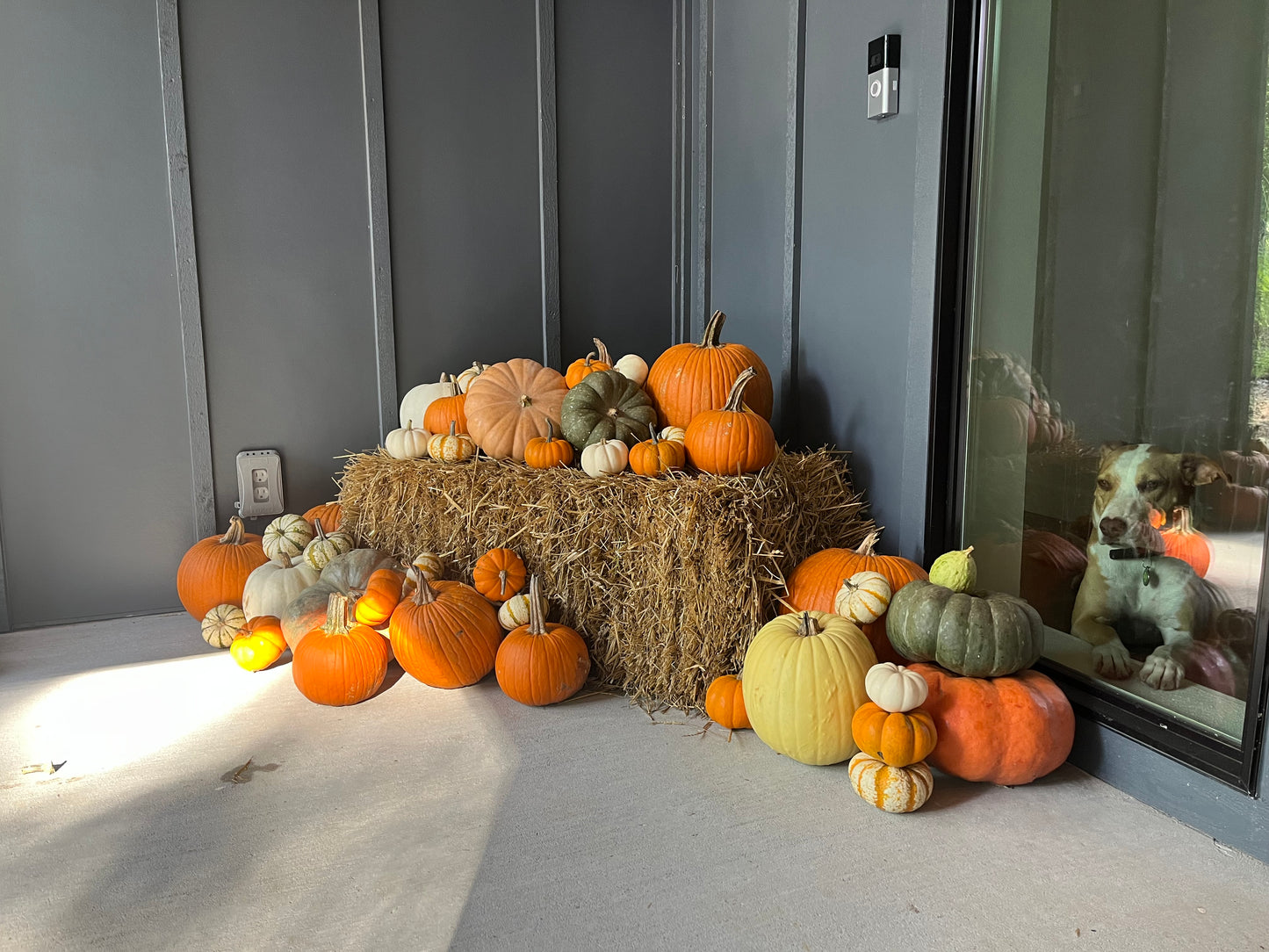 Hello Gourd-geous
