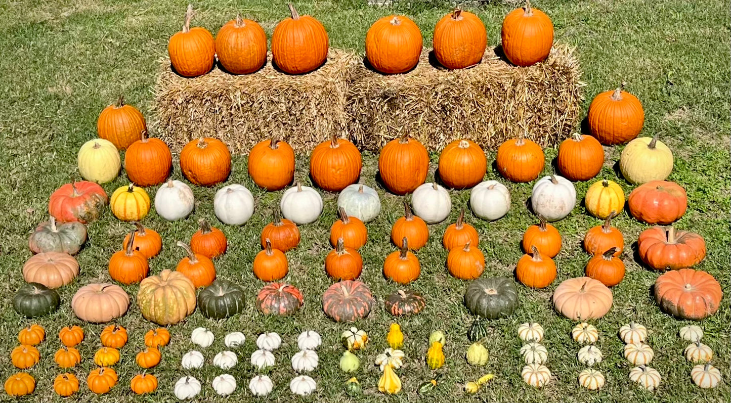 Hello Gourd-geous