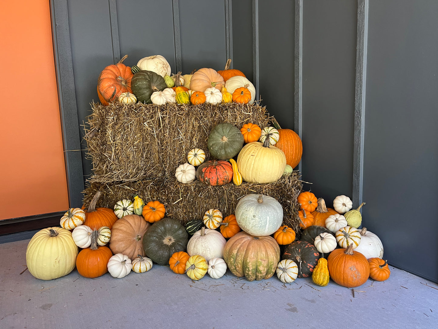 Hello Gourd-geous