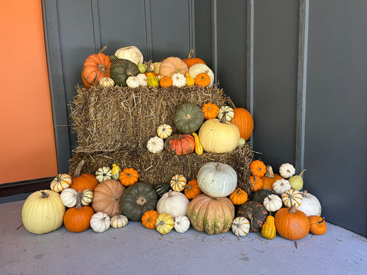 Hello Gourd-geous