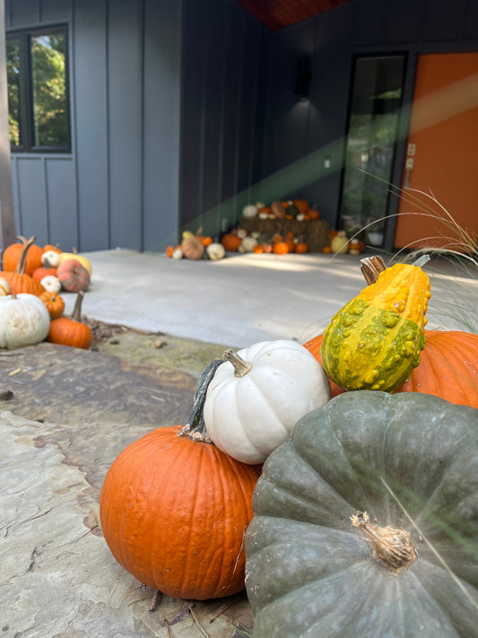 Hello Gourd-geous