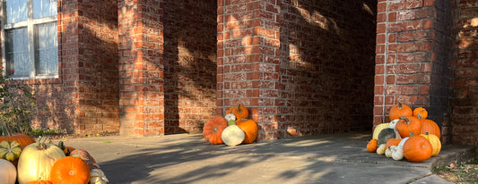 Squash Buckler