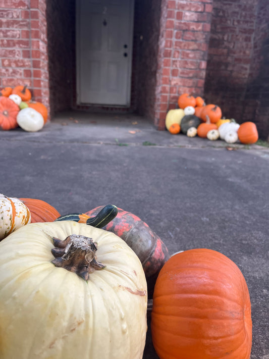Let's Give 'Em Pumpkin to Talk About